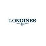 loginess logo