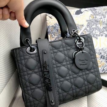 Dior Dlight Women Hand Bag